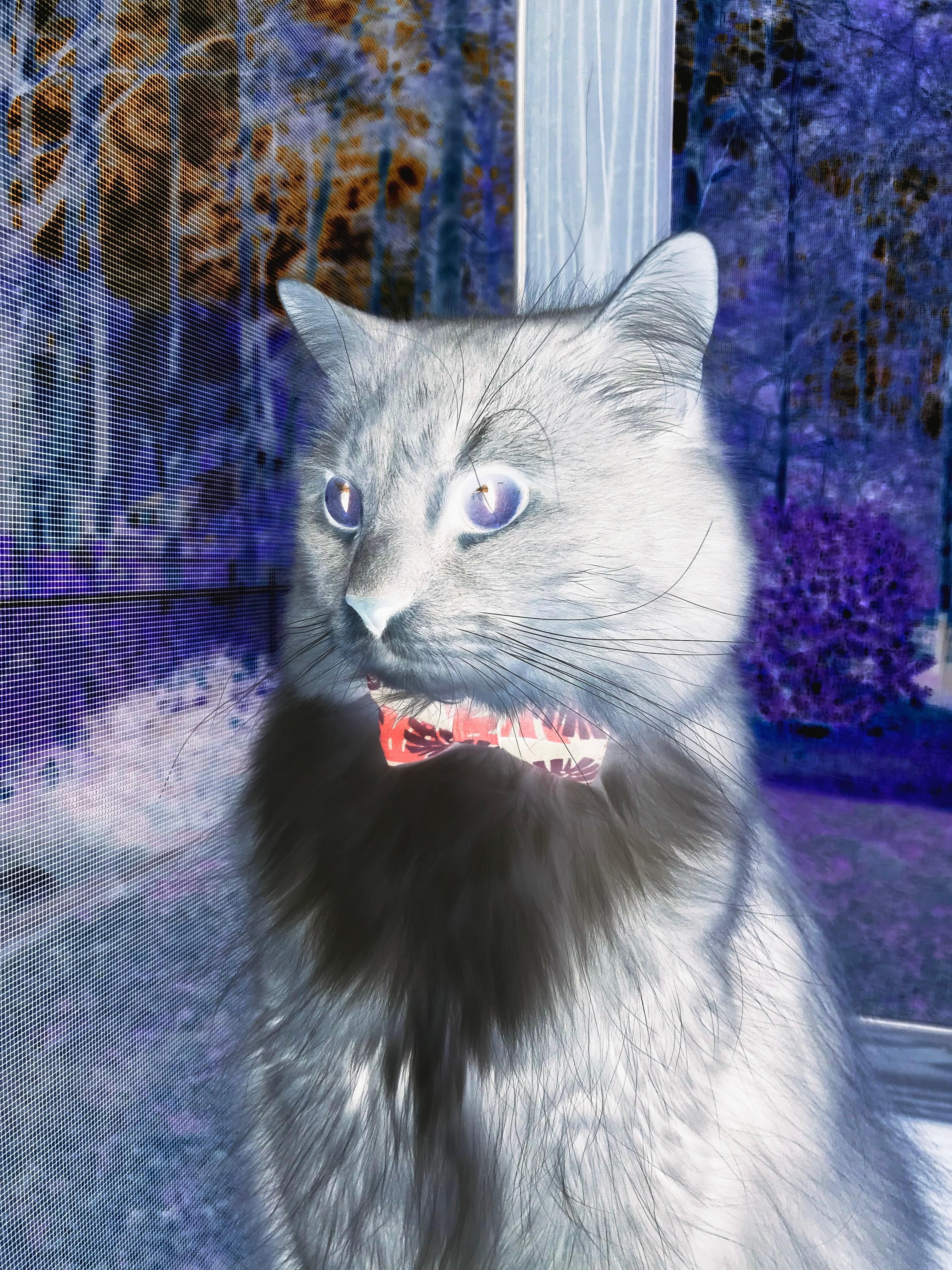 开云APP-Dota 2 选手退役引发粉丝关注，dota2现役选手