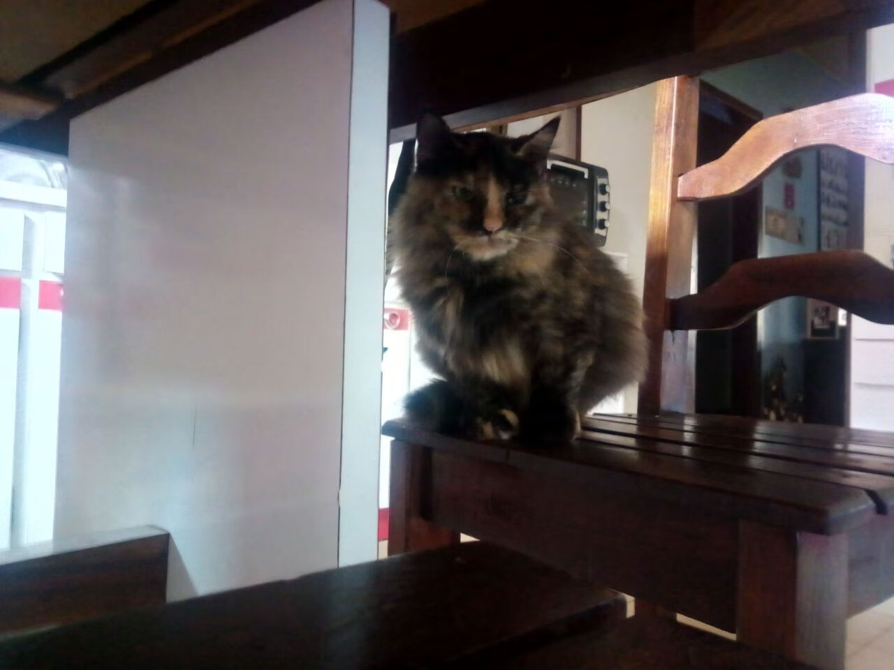 开云体育官方网站登陆-“德国战火再燃，球队战术争斗激烈”，对战德国